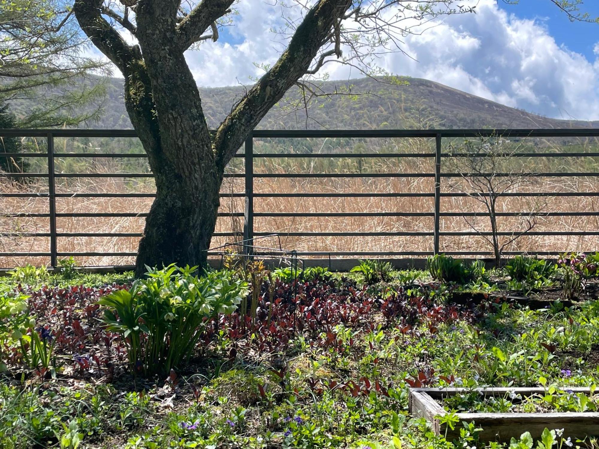 Garden Shed Holiday home